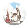 dayan cat steam cream paris