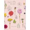 Gibson - Especially for You - Birthday Card