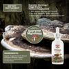 Chaga Extracted Mushroom Tincture, Orgaic