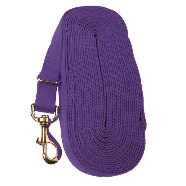Kincade Lunge Rein, Purple, 8m