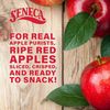  Original Apple Chips | Made From Fresh 100% Red Delicious Apples | Yakima