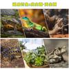 reptile light light amphibian light 25w set bulb uvb uva turtle sunbathing light