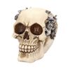 Nemesis Now Clockwork Cranium Figurine 15cm Ivory