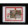 Rugby World Cup Framed Stamps 2003