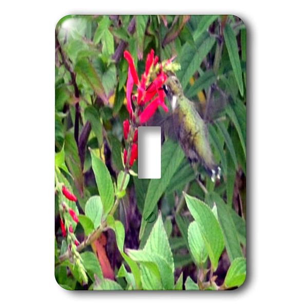 3dRose lsp_33112_1 Bee Balm and Hummingbird Toggle Switch, Multi-Color