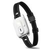 Dog Traing Receiver Collar for C94