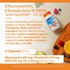 Glucosamine, Chondroitin, MSM, UCII