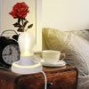  20ft Light Bulb Socket with Cord,E26/ E27 Lamp Base Desktop, Light Socket with Cord Light Bulb Base E26/ E27 Lamp Base Desktop Include Screw Cord On/Off Switch Hanging,Light Socket with Cord (20ft)