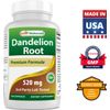 2 Pack Best Naturals Dandelion Root 520 mg 250 Capsules