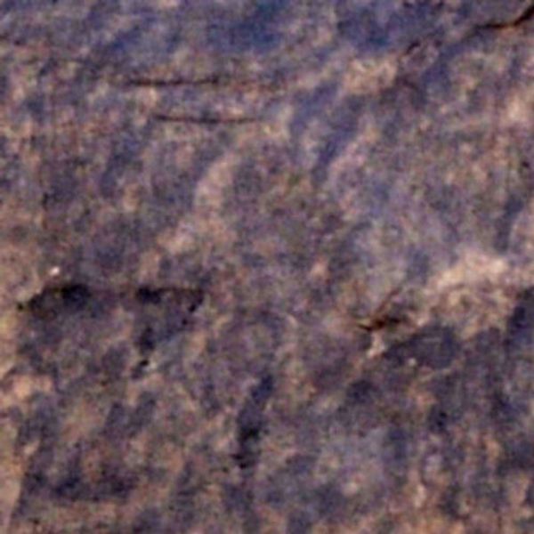 Water-Based Concrete Stain Walttools 1 GAL Pro-Grade, Eco-Friendly (Dark Walnut)