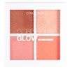Collection Gorgeous Glow Face Palette