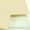 SAKAE LPP-A4-I Technical Paper, Copy Paper, A4, 50 Sheets, Extra Thick PPC Paper, Ivory