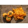 Tomorrow I am Persimmon Tree Noboru Feminine Wash Large Body Soap, 11.8 fl oz (350 ml)