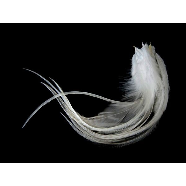 1 Dozen - Medium Solid Natural Ivory Rooster Saddle Whiting Hair Extension Feathers Fly Tying Supply | Moonlight Feather