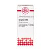 Spigelia LM VI DHU Dilution, 10 ml Lösung