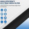 Cabiclean FLT4825 Filter B True HEPA Replacement Compatible with G-Guardian A...