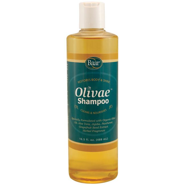 Baar Olivae Shampoo, 16.5 Fl Oz - Organic Olive Oil Formula Nourishes Hair While Cleaning. Aloe Vera, Jojoba Oil, and Proteins Repair Damaged Hair and Adds Body to All Hair Types