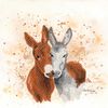 My Sparkle Art Kit Bree Merryn Jack & Diane