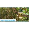 Fumakilla Bee Super Super Geki 1 Piece Bee Control Insecticide