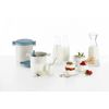 Lékué Kefir & Yoghurt Maker, Silicone Polypropilene Polyethylene