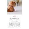 Petiluu Initial Plush Gift Set, Initial Chocolat, Flower Gift H