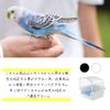 First Plast RIO 1 BIRD BATH Other Mixed Colors Birds