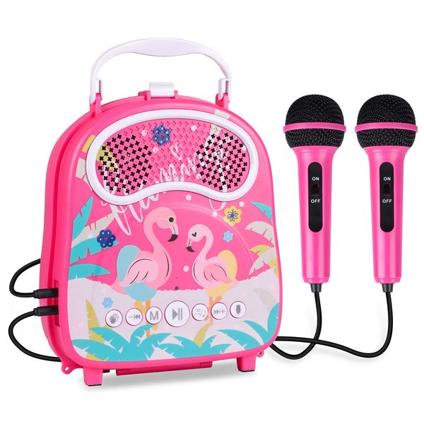 Kids Karaoke Machine with 2 Microphones Bluetooth Toddler Karaoke Speaker for Girls Boys Children Singing Machine Include Voice Changer Gift for Birthday Christmas