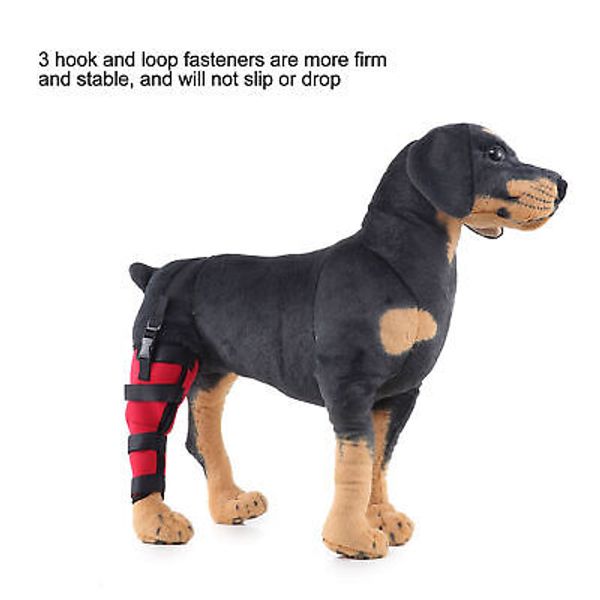 Dog Hind Leg Brace Breathable Comfortable Stable Support Pet Knee Pads for Surge