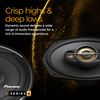 Pioneer TS-A301TW
