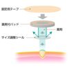 【第2類医薬品】スピール膏ワンタッチEX SPBL 12枚
