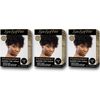 Sta-Sof-Fro Permanent Hair Color Powder Covers Grey & White Hair - Black (Pack of 3)