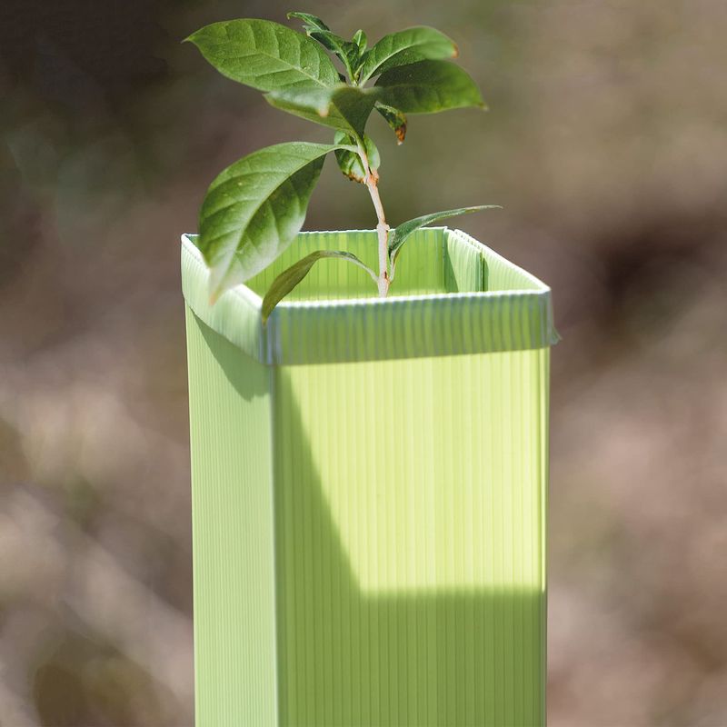 Elixir Gardens Tree & Shrub Defender+ Guards/Shelters | Flatpack Rabbit ...