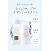 Here Lavo Scalp Care Shampoo & Treatment Set