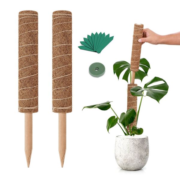 GROWNEER 24 Inch Moss Pole, 2 Pcs 15 Inch Stackable Totem Pole Plant Support, Moss Sticks for Indoor Plants with 15pcs Labels and 78in Garden Ties, Monstera Plant Stake for Climbing Plants Snake Plant