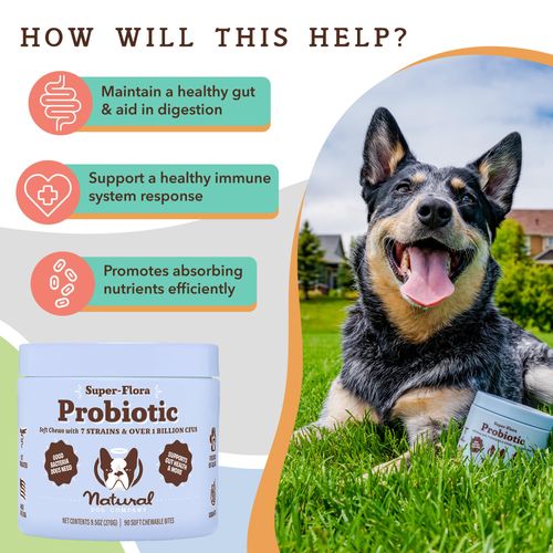 Natural Dog Company Probiotic Chews for Dogs (90 Bites), Chicken Flavor, Helps with Digestion & Gut Health Supports Immune System, Probiotics Supplement for Dogs of All Ages, Sizes & Breeds.