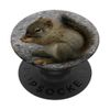 Cute Baby Squirrel Pop Mount Socket PopSockets with Replaceable PopGrip