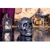 Nemesis Now Baphomet's Worship Skull, Grey, 19.5cm