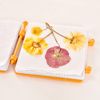 My Living World Instant Flower Press, Yellow