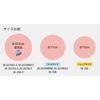 SASAKI Rhythmic Gymnastics Tools Junior Boll, Icemint (ICMI) M20C