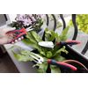 Spear & Jackson IPC3PS 3 Piece Indoor Plant Care Tool Set