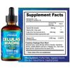 Stem Cell Serum Anti Aging Real Stem Cell Cultures 1000 PLUS B VITAMINS