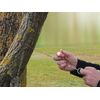 Unbekannt Outdoor Set of 4