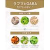 Goodnell GABA Sleep Supplement, Stress Relief, Food with Functional Display