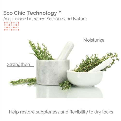 GIOVANNI ECO CHIC 50:50 Balanced Hydrating Clarifying Shampoo - Leaves Hair pH Balanced for Over-Processed Hair, Provides Moisture & Protection, Salon Quality, No Parabens, Color Safe - 24 oz