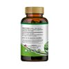 Artichoke 120 capsule extract Capsules Extract Alcachofa weight loss support