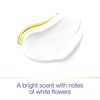 Dove Advanced Care Antiperspirant Deodorant Stick for Women, Original Clean, for 48 Hour Protection And Soft And Comfortable Underarms, 2.6 oz