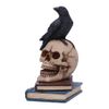 Nemesis Now Raven's Spell 4.05" Black