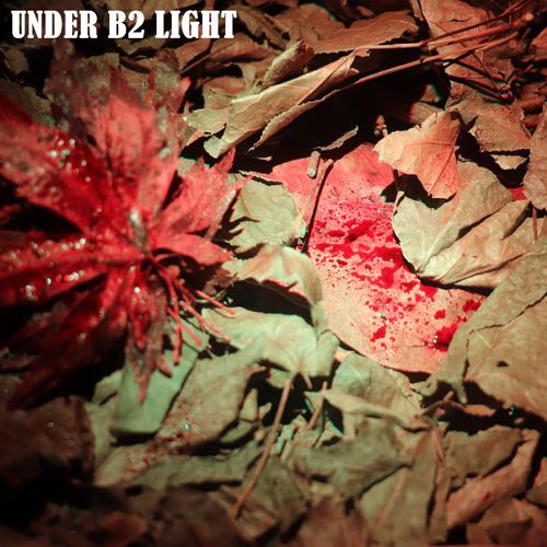 LUMENSHOOTER B2 Blood Tracking Light for Deer, Blood Tracker Flashlight for Hunting, Deer Hunting Accessories for Men
