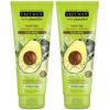 Freeman Facial Clay Mask Avocado & Oatmeal 6oz (2 Pack)