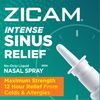Zicam Intense Sinus Relief No-Drip Liquid Nasal Spray with Cooling Menthol & Eucalyptus, 0.5 Ounce (Pack of 1)